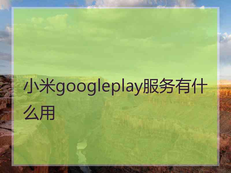 小米googleplay服务有什么用