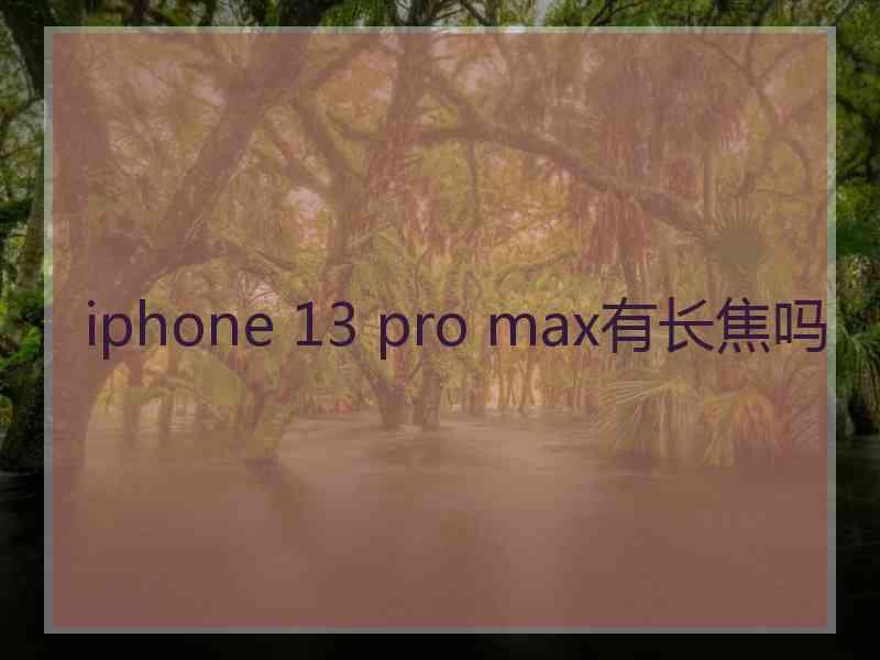 iphone 13 pro max有长焦吗