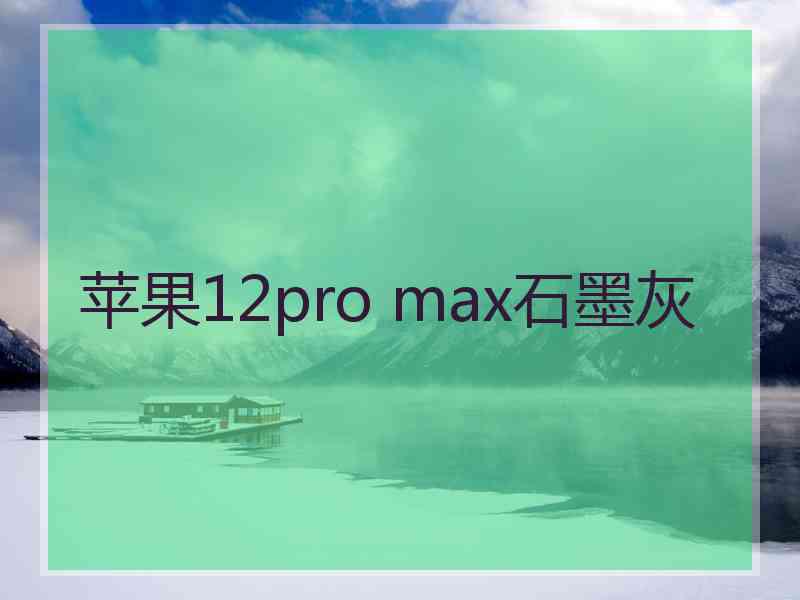 苹果12pro max石墨灰