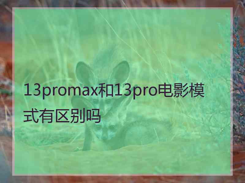 13promax和13pro电影模式有区别吗