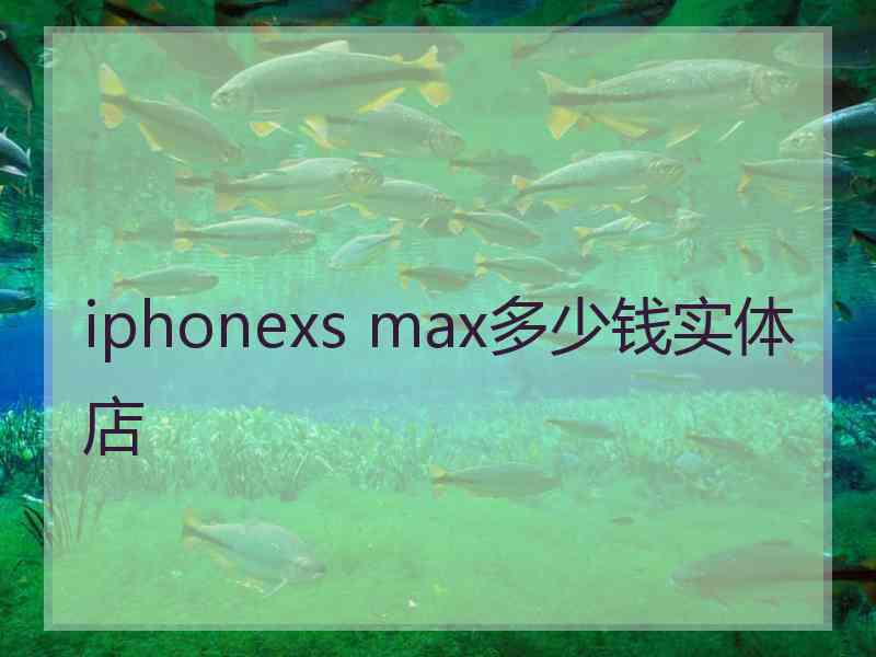 iphonexs max多少钱实体店