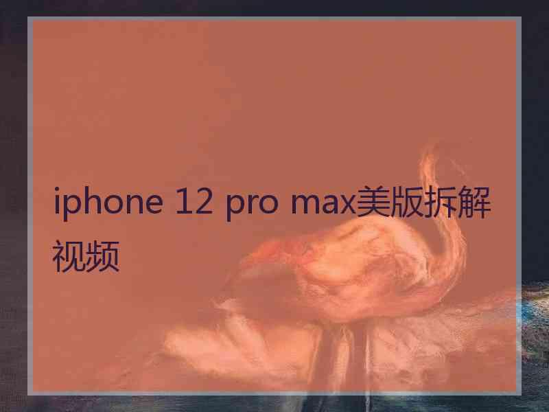 iphone 12 pro max美版拆解视频