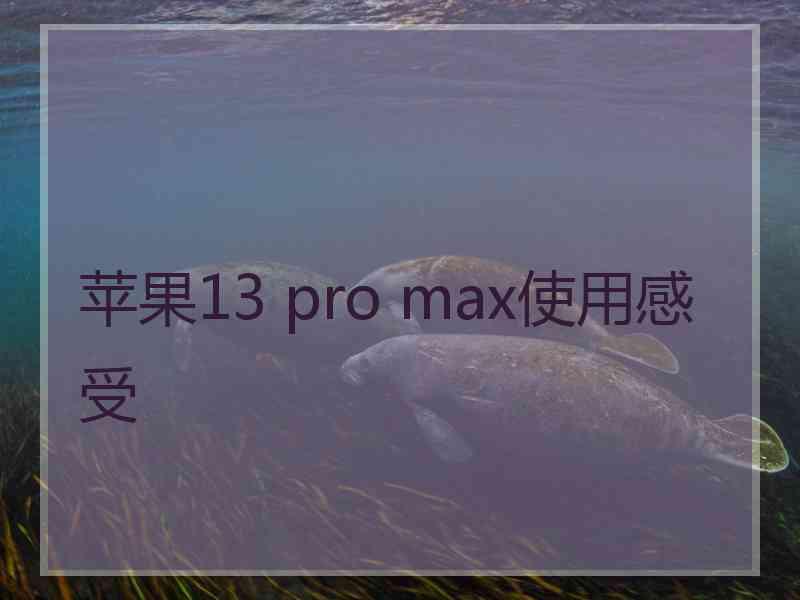 苹果13 pro max使用感受