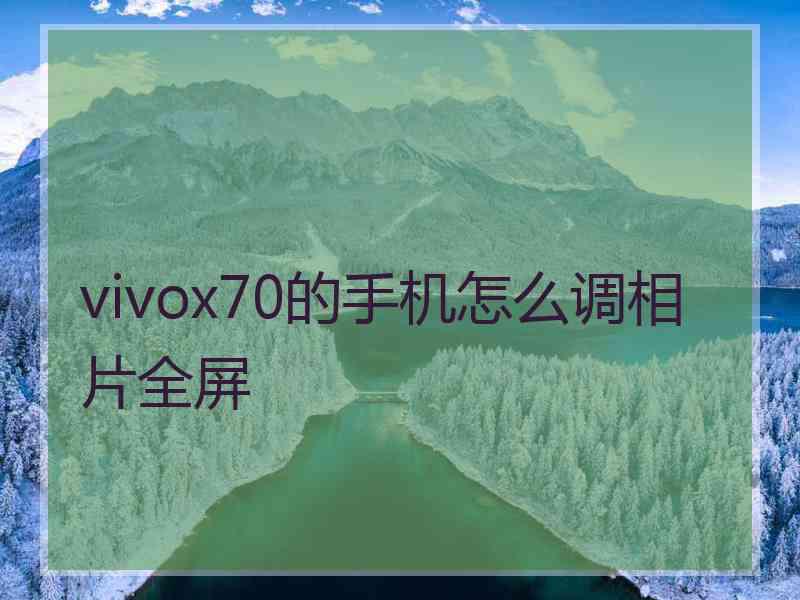 vivox70的手机怎么调相片全屏