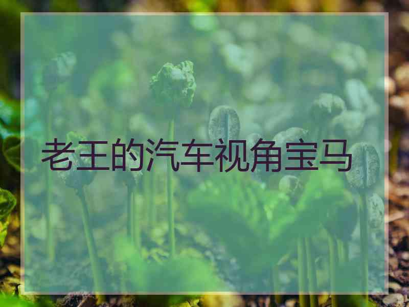 老王的汽车视角宝马