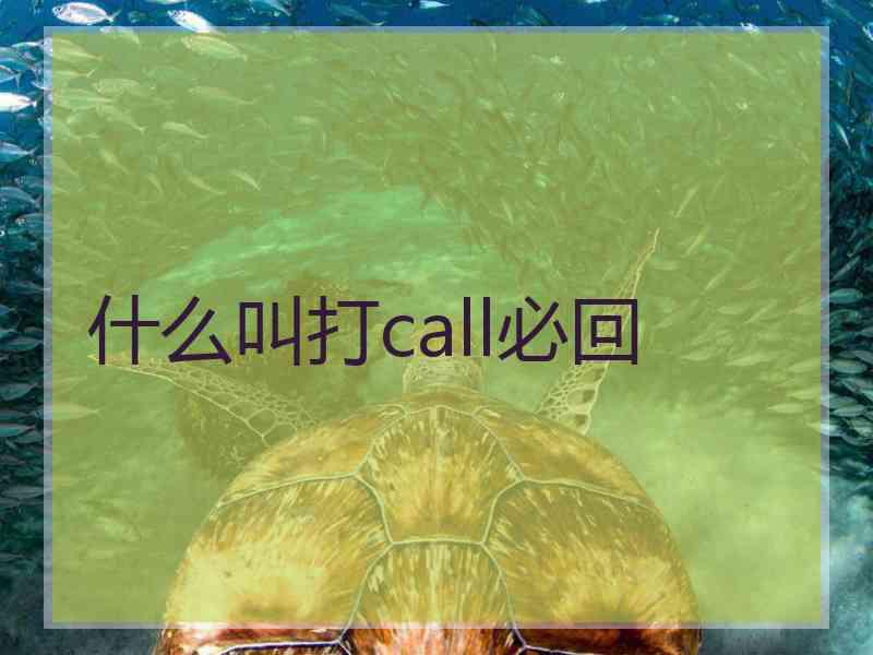 什么叫打call必回