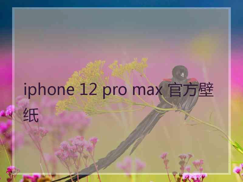 iphone 12 pro max 官方壁纸