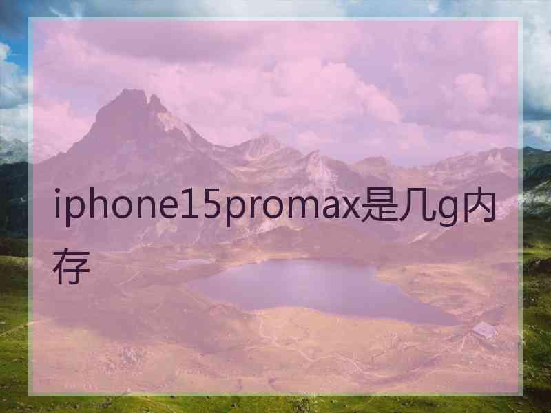 iphone15promax是几g内存