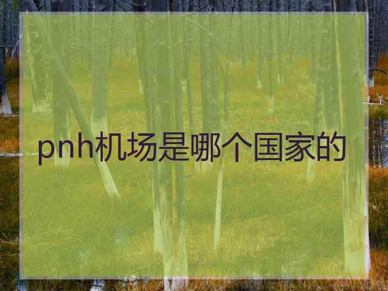 pnh机场是哪个国家的