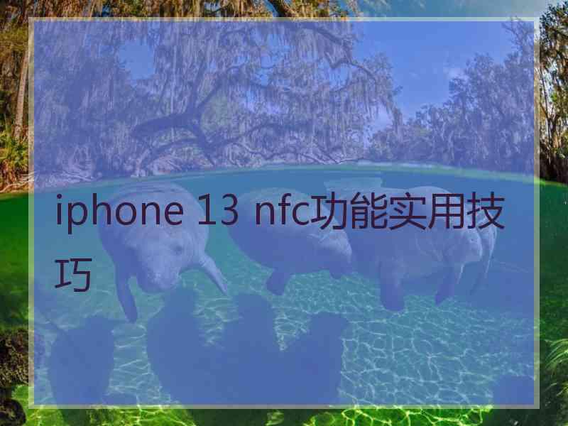 iphone 13 nfc功能实用技巧