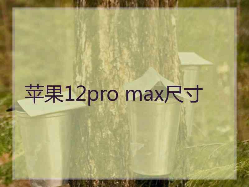 苹果12pro max尺寸