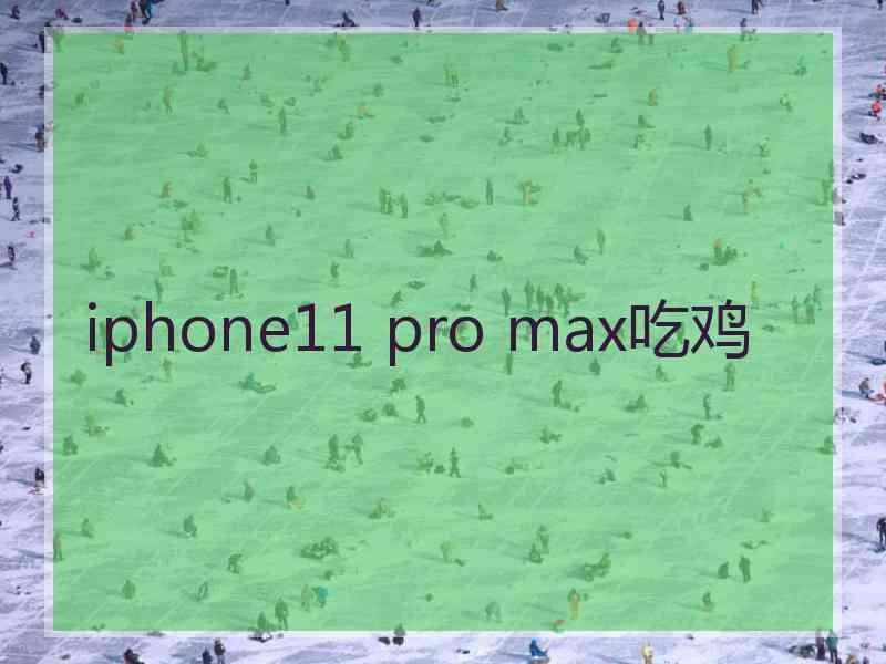 iphone11 pro max吃鸡