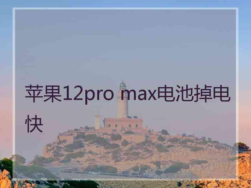 苹果12pro max电池掉电快