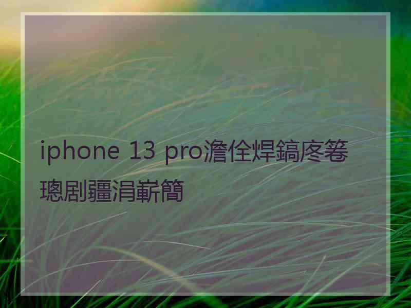 iphone 13 pro澹佺焊鎬庝箞璁剧疆涓嶄簡