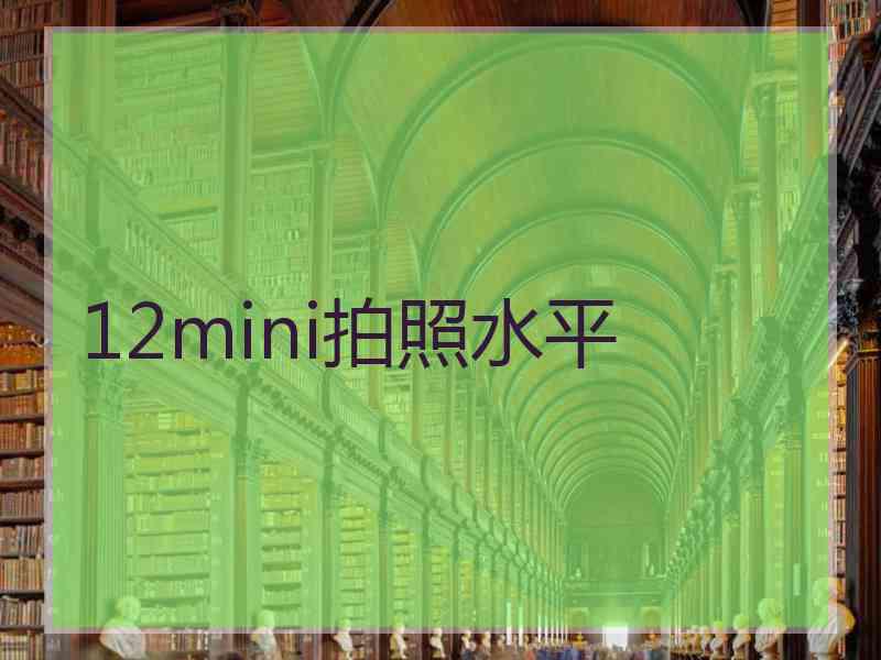 12mini拍照水平