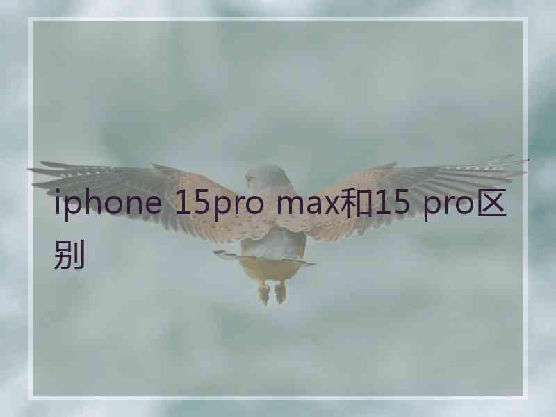 iphone 15pro max和15 pro区别