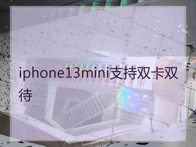 iphone13mini支持双卡双待