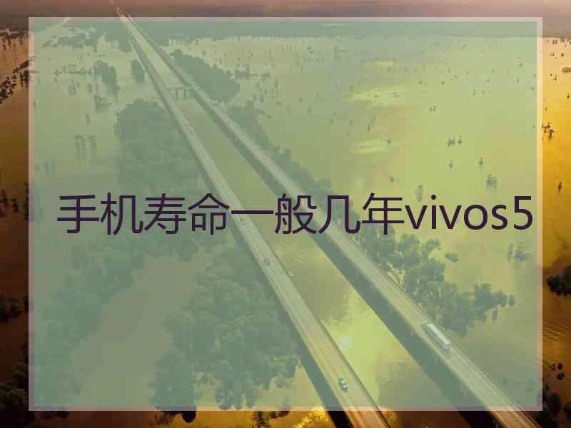 手机寿命一般几年vivos5