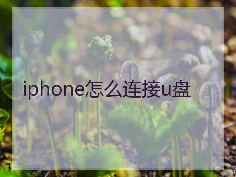 iphone怎么连接u盘