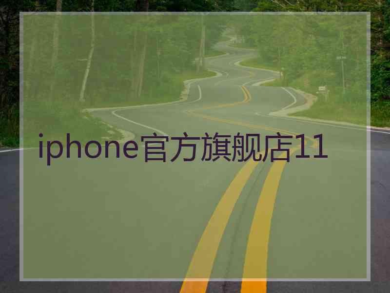 iphone官方旗舰店11