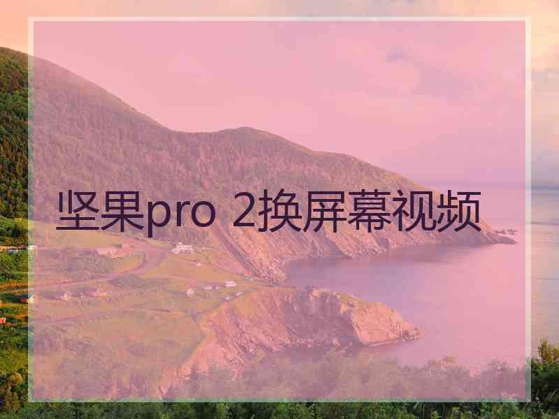 坚果pro 2换屏幕视频