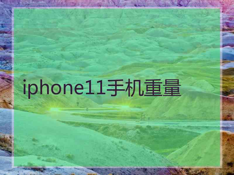 iphone11手机重量