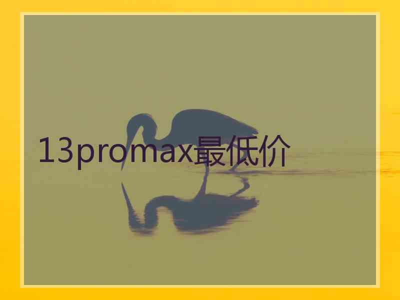 13promax最低价