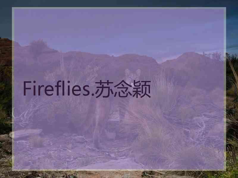 Fireflies.苏念颖