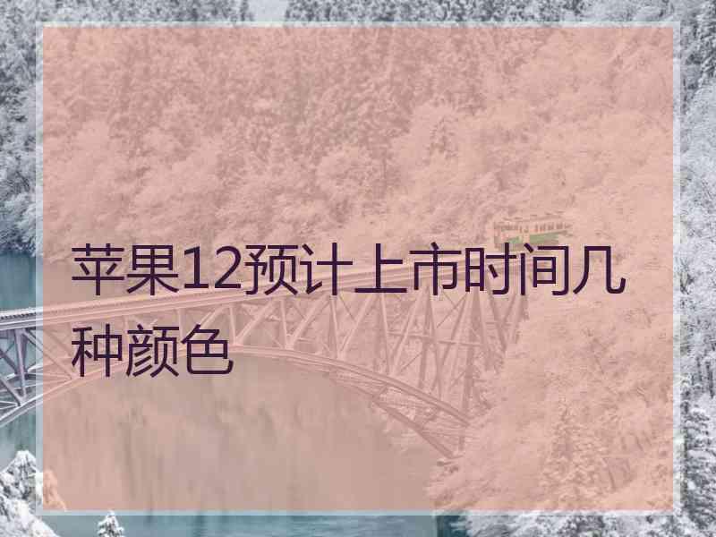 苹果12预计上市时间几种颜色