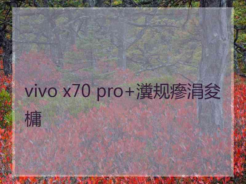 vivo x70 pro+瀵规瘮涓夋槦