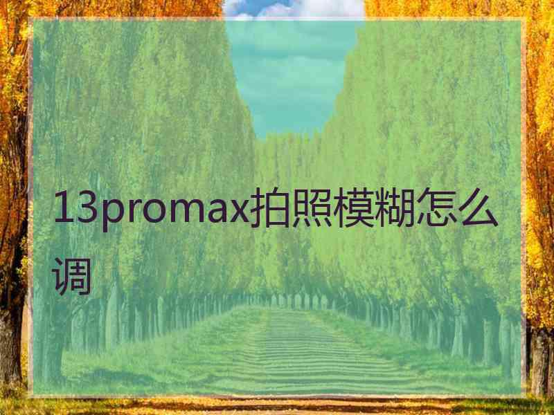 13promax拍照模糊怎么调