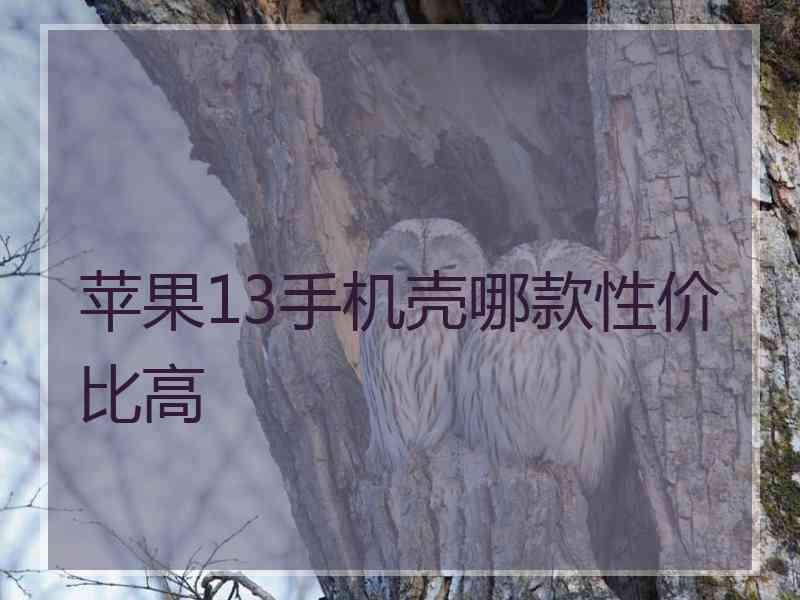 苹果13手机壳哪款性价比高