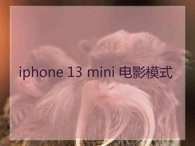 iphone 13 mini 电影模式