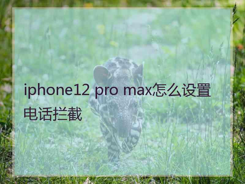 iphone12 pro max怎么设置电话拦截