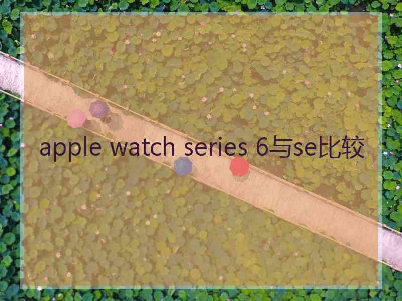 apple watch series 6与se比较