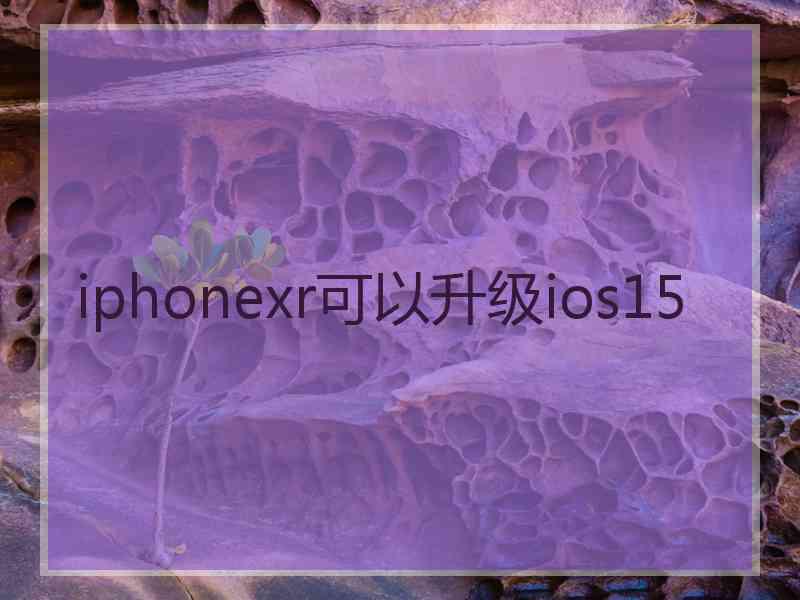 iphonexr可以升级ios15