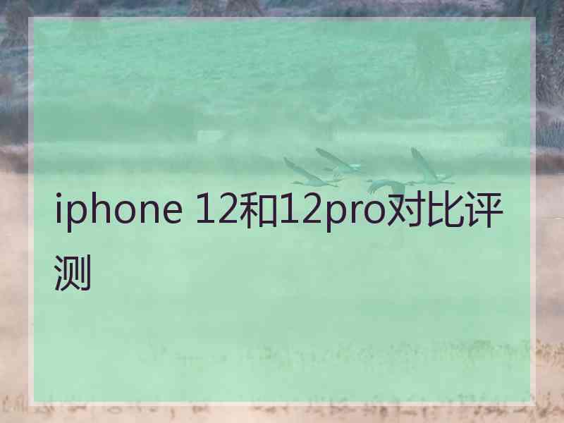 iphone 12和12pro对比评测