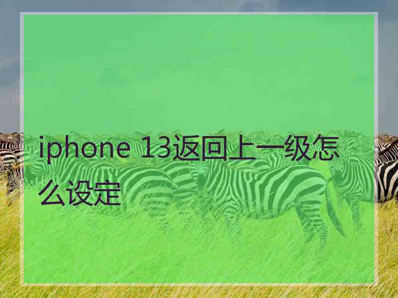 iphone 13返回上一级怎么设定