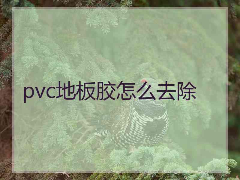 pvc地板胶怎么去除