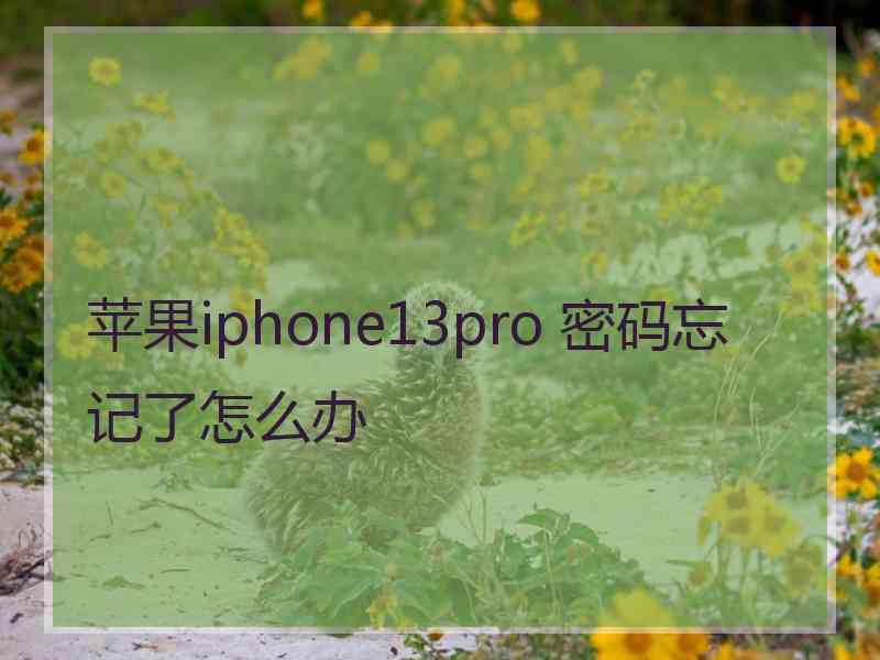 苹果iphone13pro 密码忘记了怎么办