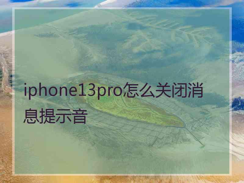 iphone13pro怎么关闭消息提示音