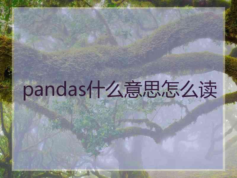 pandas什么意思怎么读