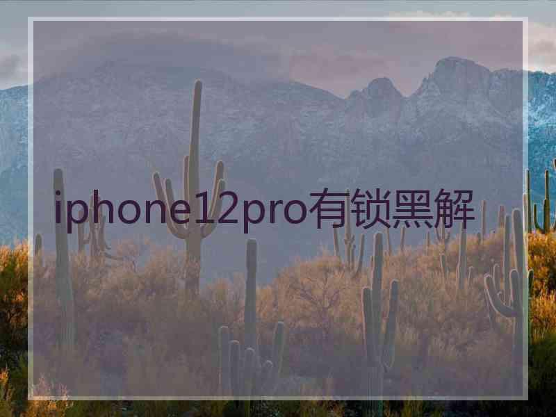 iphone12pro有锁黑解