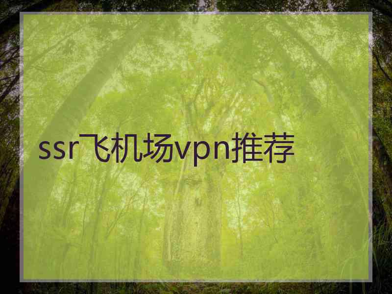 ssr飞机场vpn推荐