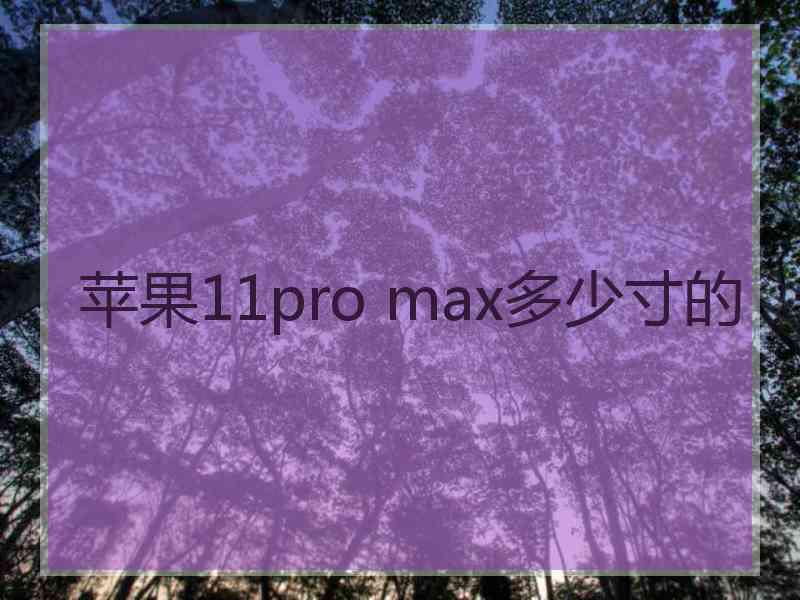 苹果11pro max多少寸的