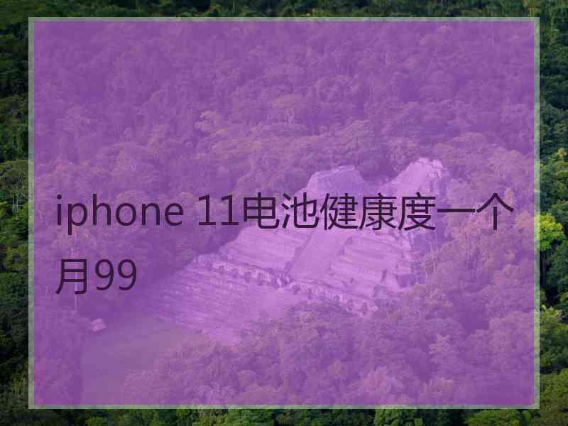 iphone 11电池健康度一个月99