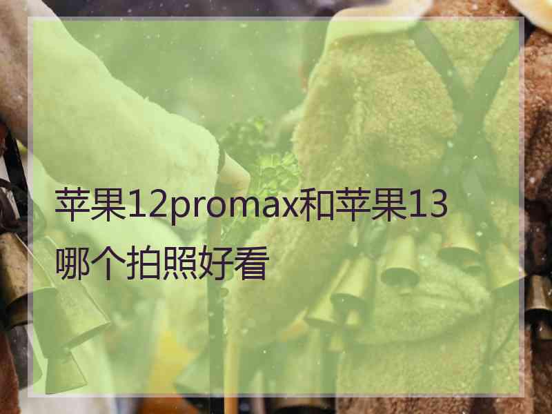 苹果12promax和苹果13哪个拍照好看