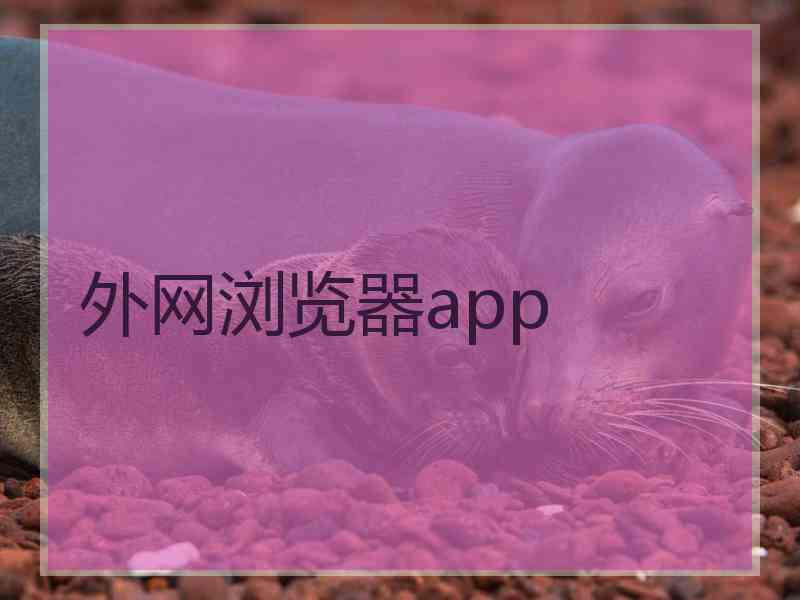 外网浏览器app