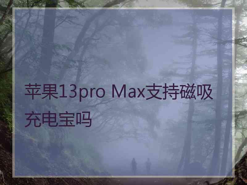 苹果13pro Max支持磁吸充电宝吗