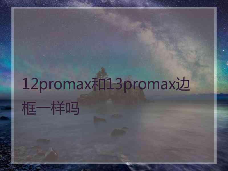 12promax和13promax边框一样吗